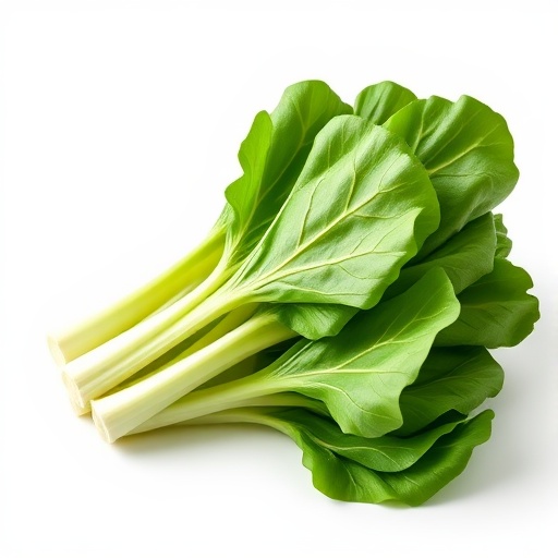 有机小青菜